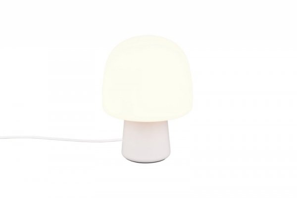STEEN 568200176