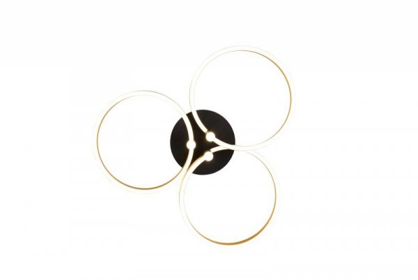 CARUSO 648110680