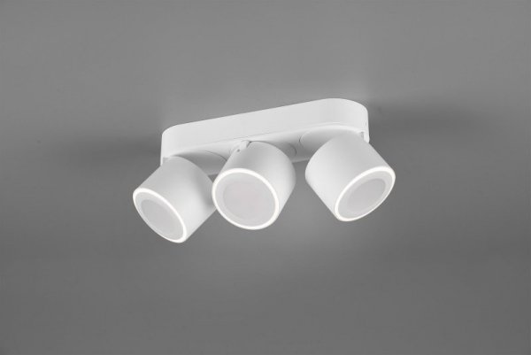 PLAFON SPOT NOWOCZESNY LED REGULOWANY TAURUS 652910331 TRIO