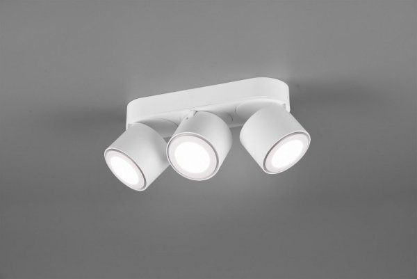 PLAFON SPOT NOWOCZESNY LED REGULOWANY TAURUS 652910331 TRIO