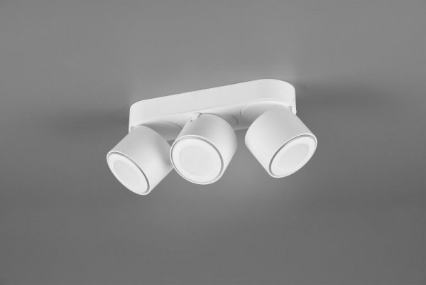 PLAFON SPOT NOWOCZESNY LED REGULOWANY TAURUS 652910331 TRIO
