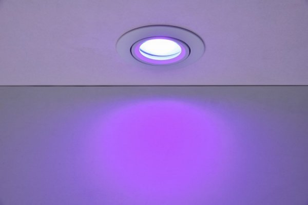 SCOP 8304601446