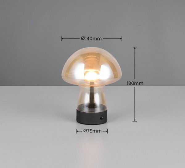 DOOLEY R54981113