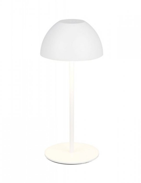 ORTIZ R55601131