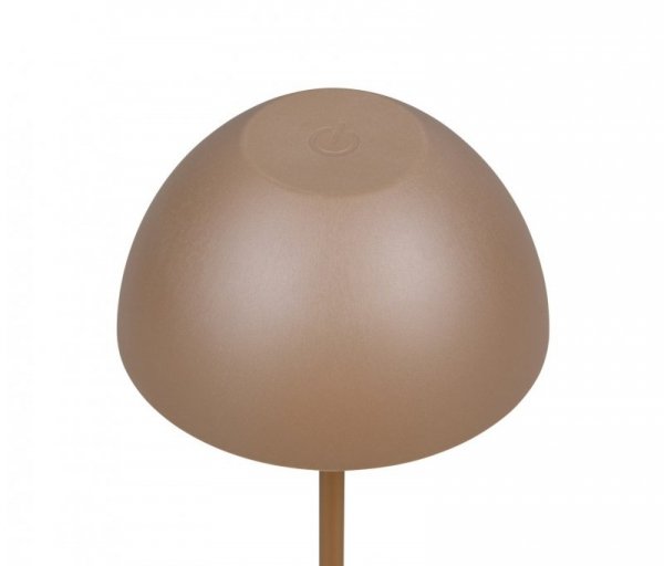 ORTIZ R55601165