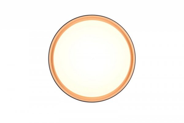 LAMPA SUFITOWA PLAFON LED OKRĄGŁY DO SALONU SYPIALNI KUCHNI RL FELIS R64391080 REALITY LEUCHTEN