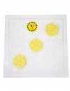 Transparent Crown board, Dadant 10-Frame/Wielkopolska 12-Frame