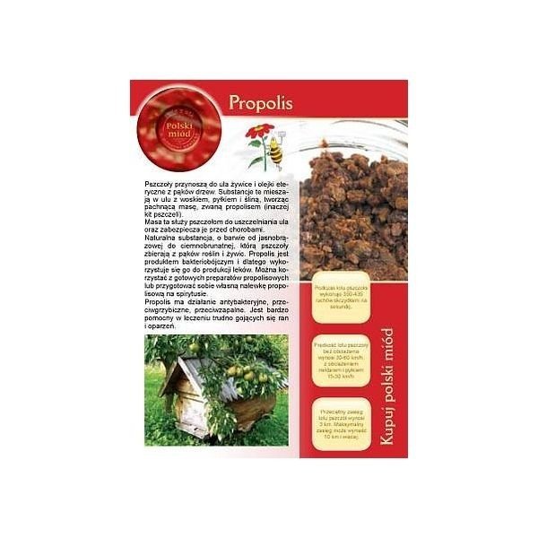 Broszurka informacyjna propolis (20szt)