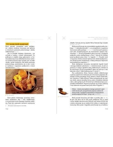 Wosk pszczeli. Ważny produkt pasieczny