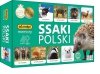 MEMORY Ssaki Polski Zwierzeta Ćwicz Pamięć Gra Adamigo 3+