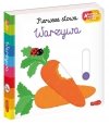 Warzywa Pierwsze słowa Akademia Mądrego Dziecka