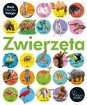 Zwierzęta Moja Pierwsza Księga Książeczka edu dla dzieci Smart books