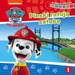Psi Patrol Książka z filmem DVD Pieski ratują zatokę