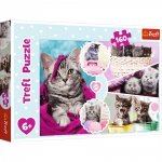 Puzzle Urocze kotki 160 Układanka Koty Trefl 