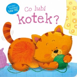 Książeczka Sensoryczna Co lubi kotek? Dotykaj Poznawaj