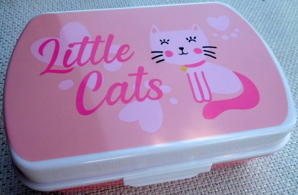Lunchbox Pudełko śniadaniowe różowe Little Cats Kotek