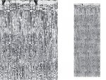 Kurtyna Party srebrna 90 x 250 cm