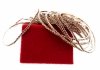 Celebrity Armband Chirurgischer Stahl