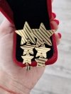 goldene Ohrringe aus Edelstahl