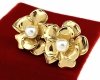 goldene Ohrringe aus Edelstahl