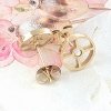 gold earrings made of stainless steel
