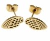 gold earrings made of stainless steel