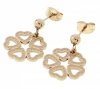 gold earrings made of stainless steel