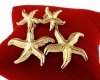 gold earrings made of stainless steel
