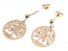 EARRINGS SILVER STAINLESS STEEL CELEBRITY