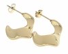gold earrings made of stainless steel