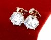 gold plated earrings with exclusive cubic zirconia