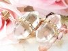 gold earrings made of stainless steel