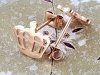 gold earrings made of stainless steel