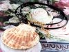 3950 Łańcuszek 46+5 naszyjnik rzemyk celebrytka muszla lato plaża wakacje