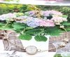 4212 Bransoletka złota 21+3 stal chirurgiczna celebrytka