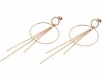 EARRINGS SILVER STAINLESS STEEL CELEBRITY