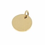 gold pendant stainless steel