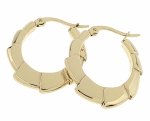 gold earrings made of stainless steel