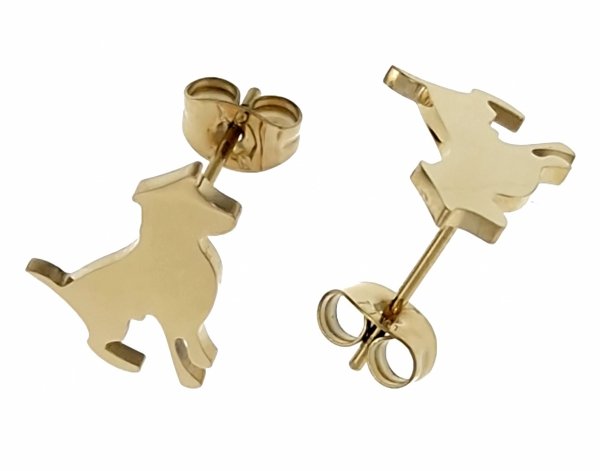 gold earrings made of stainless steel