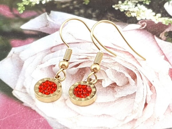 EARRINGS SILVER STAINLESS STEEL CELEBRITY