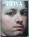 Alfonso Perez Sanchez Goya
