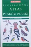 Emilia Grzędzicka Ilustrowany atlas ptaków Polski
