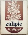 Malowane domy na Powiślu Dąbrowskim. Przewodnik po zagrodzie Felicji Curyłowej w Zalipiu
