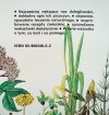 Nina Grella Leczenie naturalne