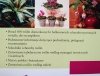 Leksykon roślin doniczkowych i balkonowych