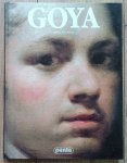 Alfonso Perez Sanchez • Goya