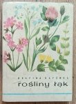 Delfina Gayówna • Rośliny łąk