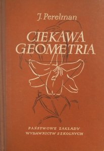 J. Perelman • Ciekawa geometria