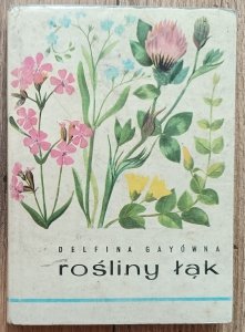Delfina Gayówna • Rośliny łąk