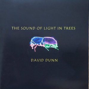 David Dunn • The Sound of Light in Trees • CD
